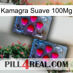 Kamagra Soft 100Mg 14